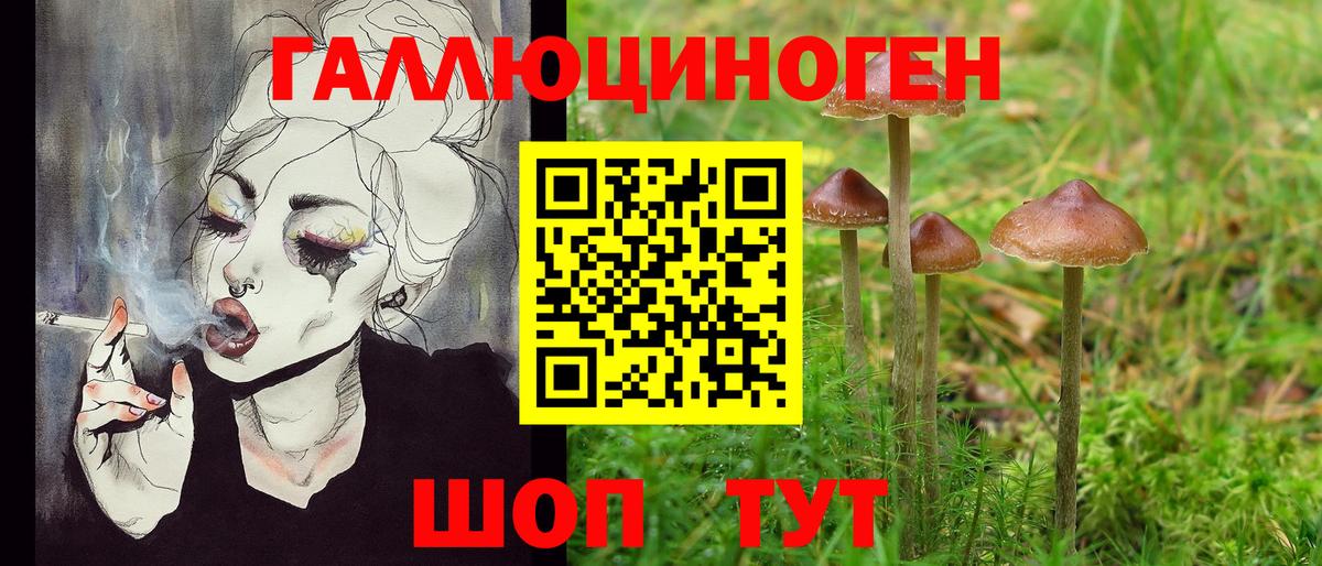 Магнитогорск  Псилоцибиновые грибы Psilocybe  как найти наркотики  Галлюциногенные грибы мицелий  Вход с VPN 
